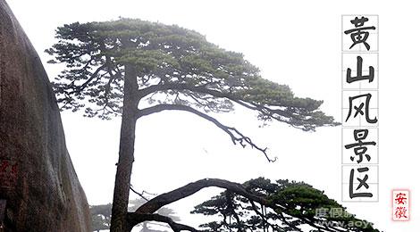 黄山祁门旅游景点_黄山祁门附近景点_黄山黄