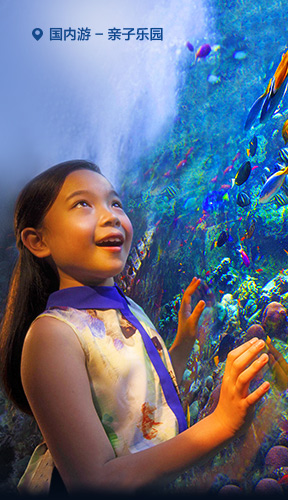 亲子乐园