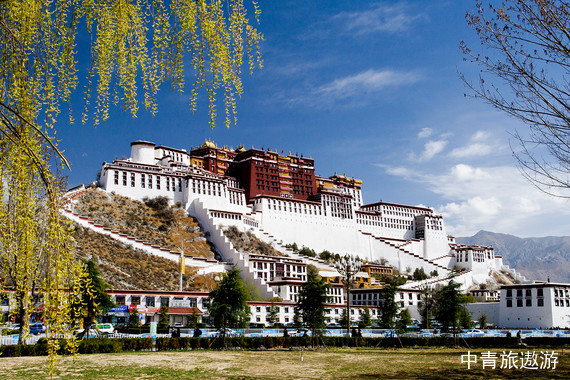 【购实惠】西藏：林芝当地3日游【慢品慢游/拉萨集合散团】