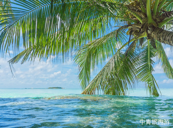 马尔代夫4晚6天百变自由行【威斯汀/Westin /豪华岛屿】