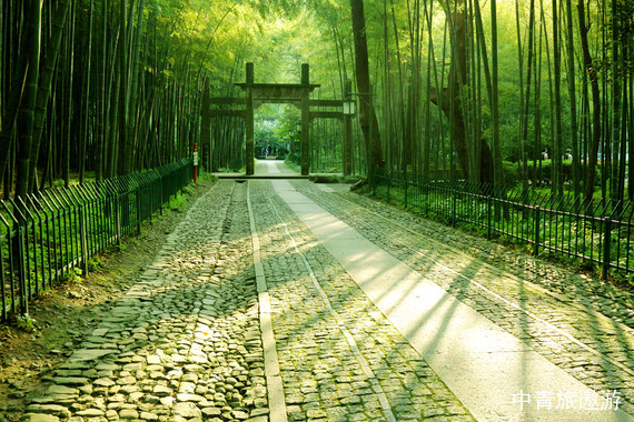 【当季爆款】杭州一地+普陀山双高5日祈福之旅【普陀山祈福+乌镇西栅提灯走桥+西塘+西溪湿地私家专享摇橹船+漫步西湖】