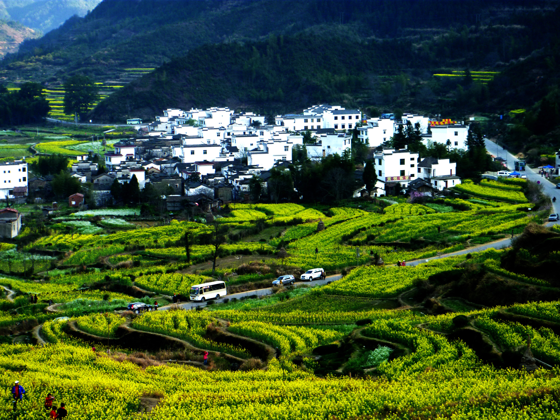 【当季爆款】江西经典-篁岭晒秋+景德镇+庐山-上河古镇动卧五日游【0自费0购物/一车一导/含篁岭索道及庐山景交车】