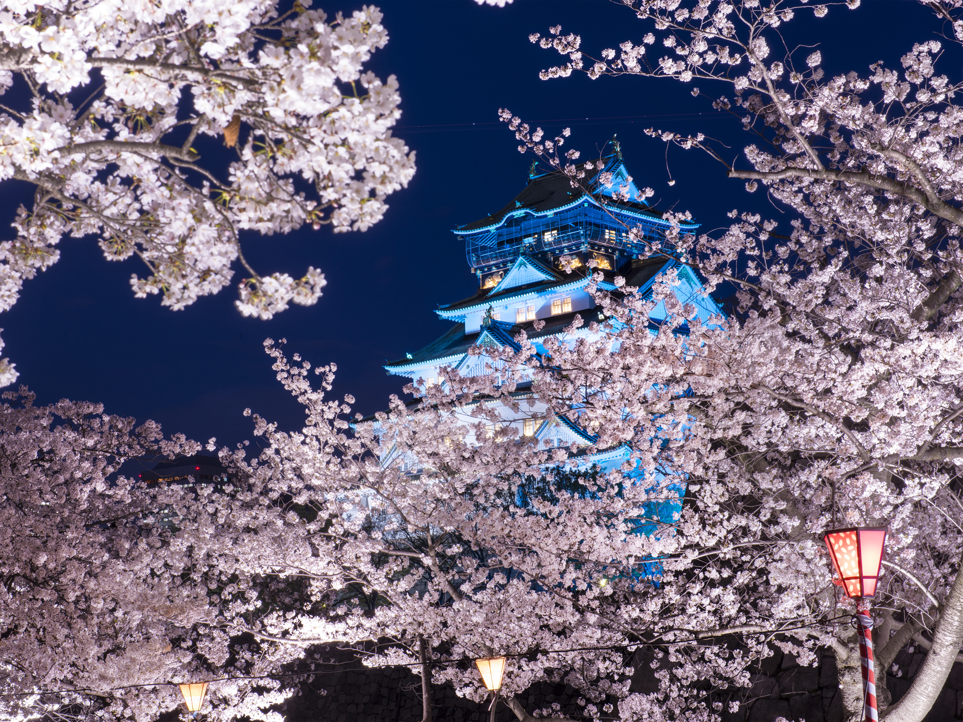 日本：铂金豪景--日本白川乡本州世界遗产极致6日