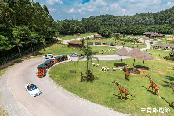 【广东】私享•粤享双长隆&清新海陵5日游【广州+佛山岭南文化+海陵岛+珠海海洋王国+长隆野生动物园+广州塔+黄埔军校】一单一团，2人起发