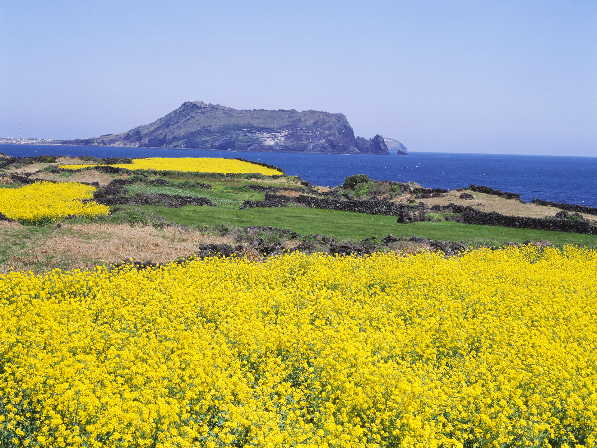 【韩国邮轮】理想号韩国4晚5天/5晚6天