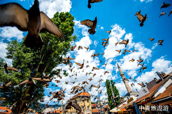 【私家团】波黑黑山塞尔维亚10日游【铁托元帅墓，萨尔干8号小火车，杜米托尔国家公园，萨拉热窝缆车】