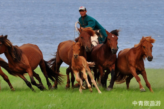 【周边跟团游】希拉穆仁草原、库布齐沙漠、呼和浩特4日游【呼市出发】