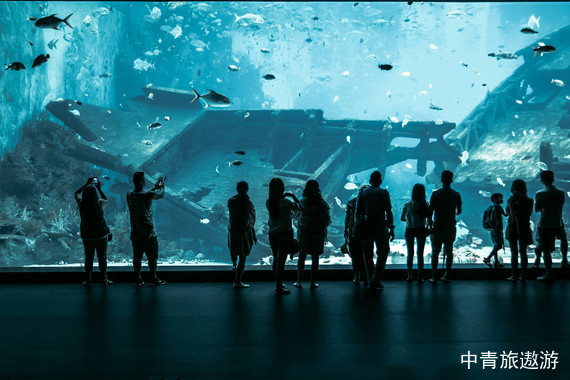 【東南亞】新加坡+馬來西亞5晚7天【加姆達(dá)水上樂園｜日/夜間動(dòng)物園｜河川生態(tài)園｜夜宿動(dòng)物園】