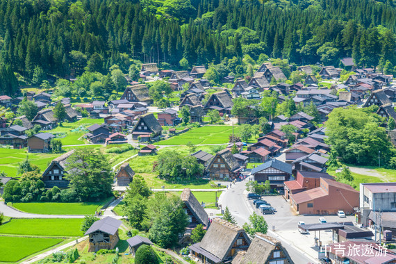 【雙冠】悅游日本—本州巡禮（東京+鐮倉(cāng)+伊豆+箱根+松本+高山+岐阜+京都+大阪)7日游