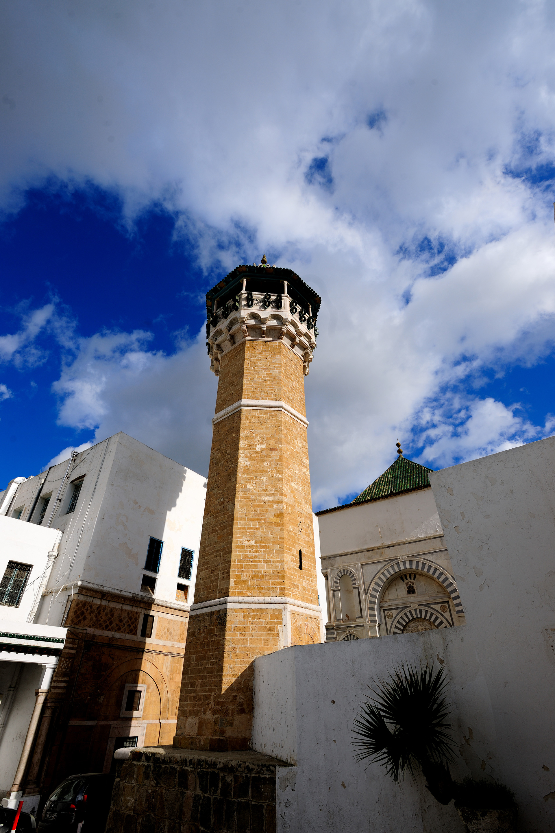 突尼斯+摩洛哥+阿尔及利亚世界文化遗产18日