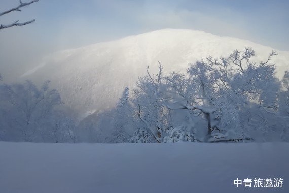 【哈尔滨当地参团】#冰雪奇缘#哈尔滨/雪乡/亚布力/中央大街/冰雪大世界5日游【1价全含+千元娱乐礼包+无人机航拍记录冰雪时光】