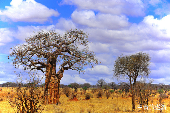 【非洲】津巴布韦+赞比亚+博茨瓦纳+纳米比亚15天