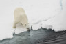 极地-2020年世界之巅北极点90度破冰之旅14日游