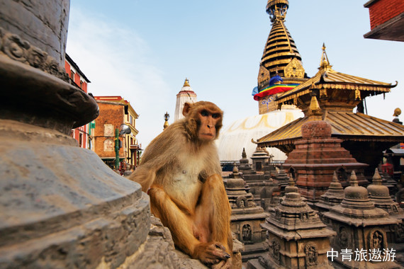 尼泊尔9天（全景之旅+蓝毗尼CZ）