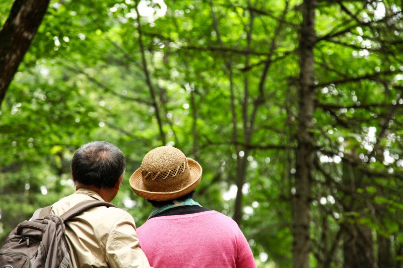 【東北】北京哈爾濱伊春五營(yíng)湯旺河嘉蔭茅蘭溝雙高六日【金山鹿苑+恐龍館+石林+金山屯】 