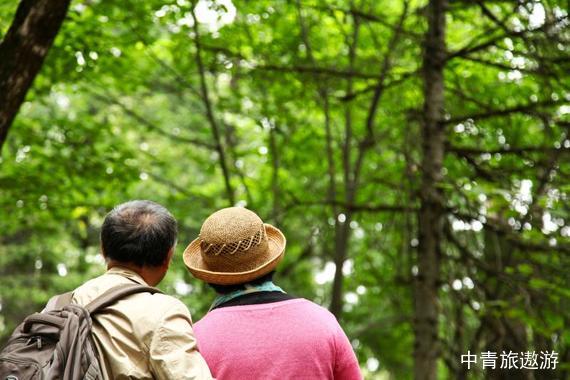【東北】北京哈爾濱伊春五營(yíng)湯旺河嘉蔭茅蘭溝雙高六日【金山鹿苑+恐龍館+石林+金山屯】 