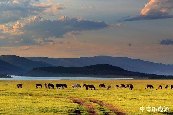即将消失的驯鹿部落—蒙古查坦秘境之旅10日游