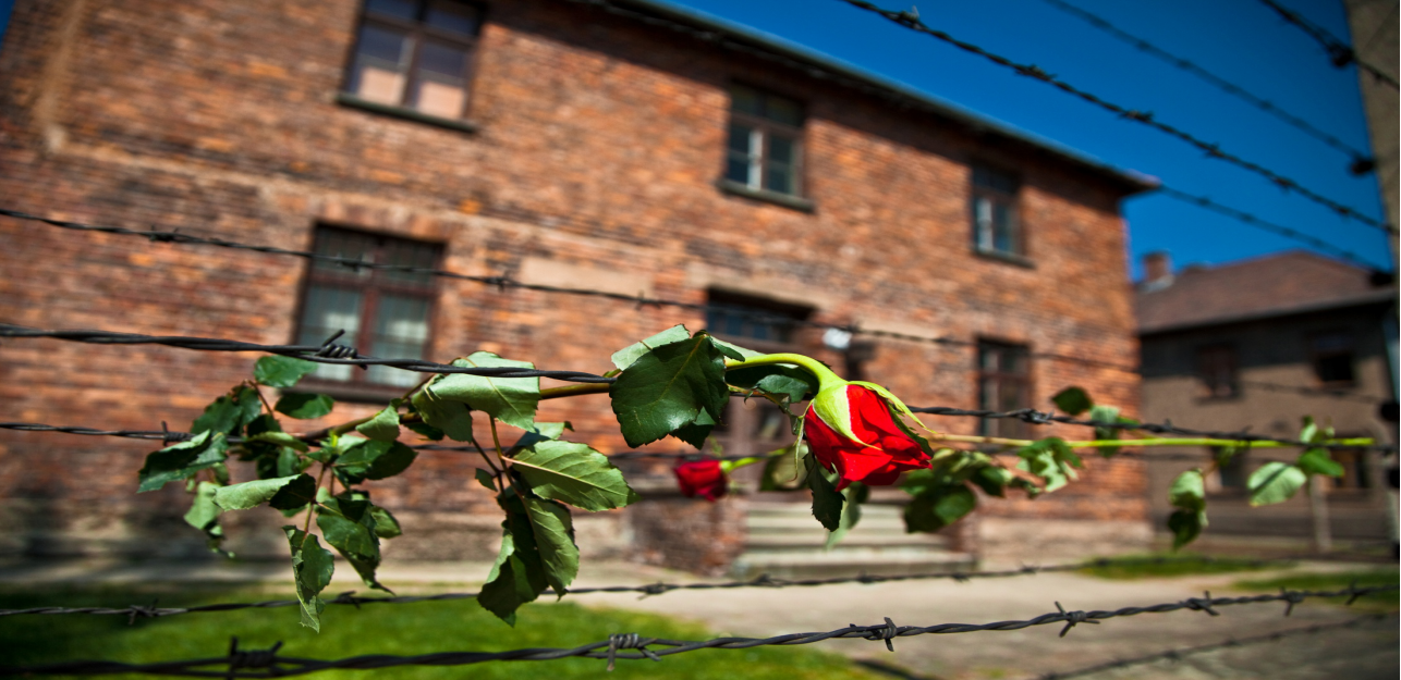 【欧洲】奥地利+匈牙利+波兰+捷克+斯洛伐克5国15日【奥斯维辛集中营|渔夫堡】