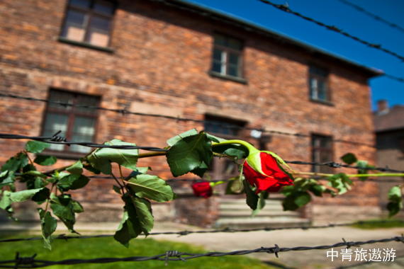 【欧洲】奥地利+匈牙利+波兰+捷克+斯洛伐克5国15日【奥斯维辛集中营|渔夫堡】