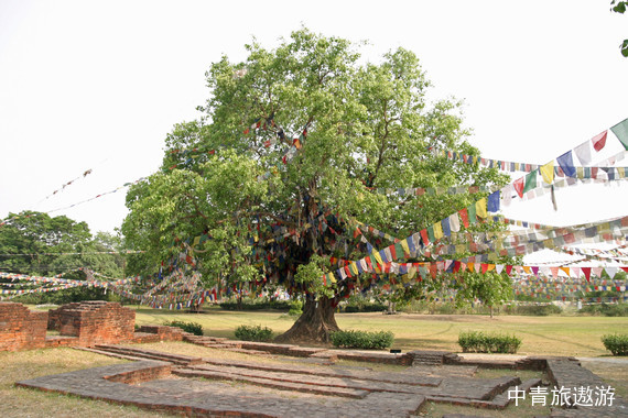 【尼泊尔】加德满都+博卡拉+奇特旺+纳加阔特北京直飞10天9晚【费瓦湖+博达哈大佛塔+夏克蒂女神庙+世界和平塔】