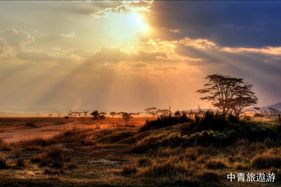【非洲】与狮漫步 南非花园大道12日【齐齐卡玛国家公园|奈斯纳游船|奥茨颂|刚果洞|观鲸圣地赫曼纽斯|好望角|企鹅滩】