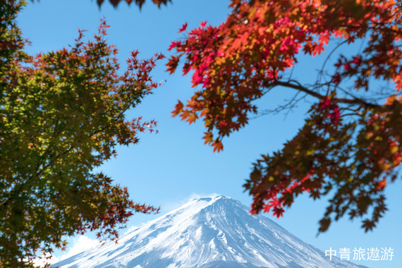 日本本州7日雙自由假期之旅（日本大阪、京都、奈良、箱根（富士山周邊地區(qū)）、東京）7日游
