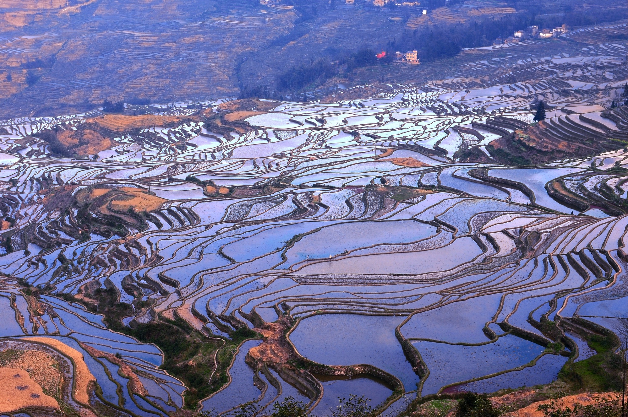 私享·水上普者黑6日游【東風(fēng)韻+壩美+廣南+三生三世景區(qū)+青龍山+碧色寨+元陽(yáng)梯田+建水古城+撫仙湖】