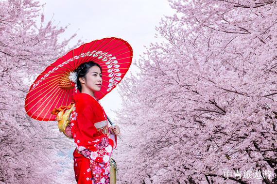 日本本州7日春色湖海时光之旅7日游【日本大阪、京都、奈良、琵琶湖、箱根（富士山周边地区）、镰仓、东京】