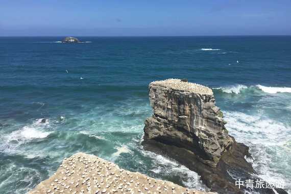 【大溪地邮轮】诺唯真之勇号-新西兰+斐济+萨摩亚+美属萨摩亚+法属波利尼西亚+库克群岛21日【探秘自然奇观|解码文明瑰宝】