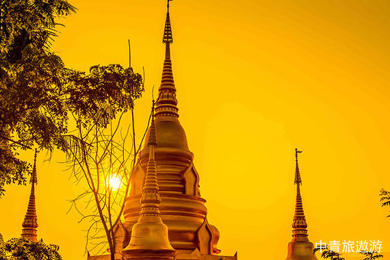 【云南】小V版纳 当地5日【中科院勐仑植物园+野象谷+大佛寺+勐基诺山雨林穿越+曼听下午茶+星光夜市+傣装旅拍】连住4晚网评四钻酒店