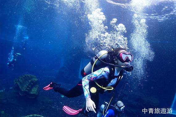 【PADI水肺潛水課程】少年海豹隊(duì)、OW、AOW系列課程2-3日游