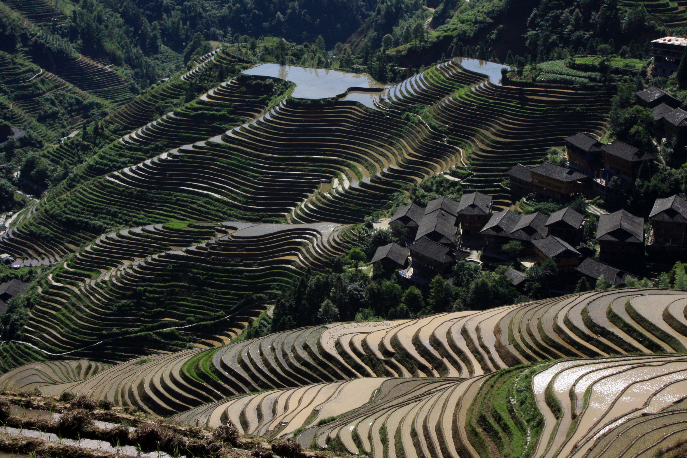 【纯享漓江】桂林兴坪漓江+古东瀑布+银子岩+世外桃源+象鼻山+西山公园3晚4天（1人起订，随定随走，保证成团）