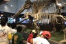 【筍芽兒系列】【中國古動物館】夜宿博物館，與恐龍做鄰居