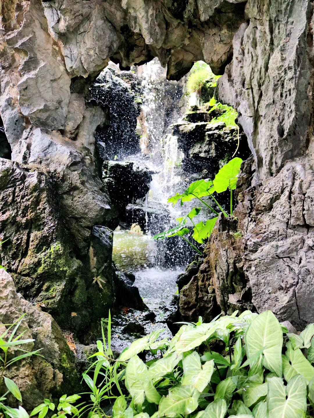 【广东】佛山+广州+顺德 双飞5日/双卧7日【西关永庆坊+李小龙祖居+顺德博物馆+清晖园+华盖路步行街+逢简水乡+佛山老街+坡庙和井】