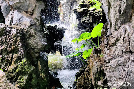 【广东】佛山+广州+顺德 双飞5日/双卧7日【西关永庆坊+李小龙祖居+顺德博物馆+清晖园+华盖路步行街+逢简水乡+佛山老街+坡庙和井】