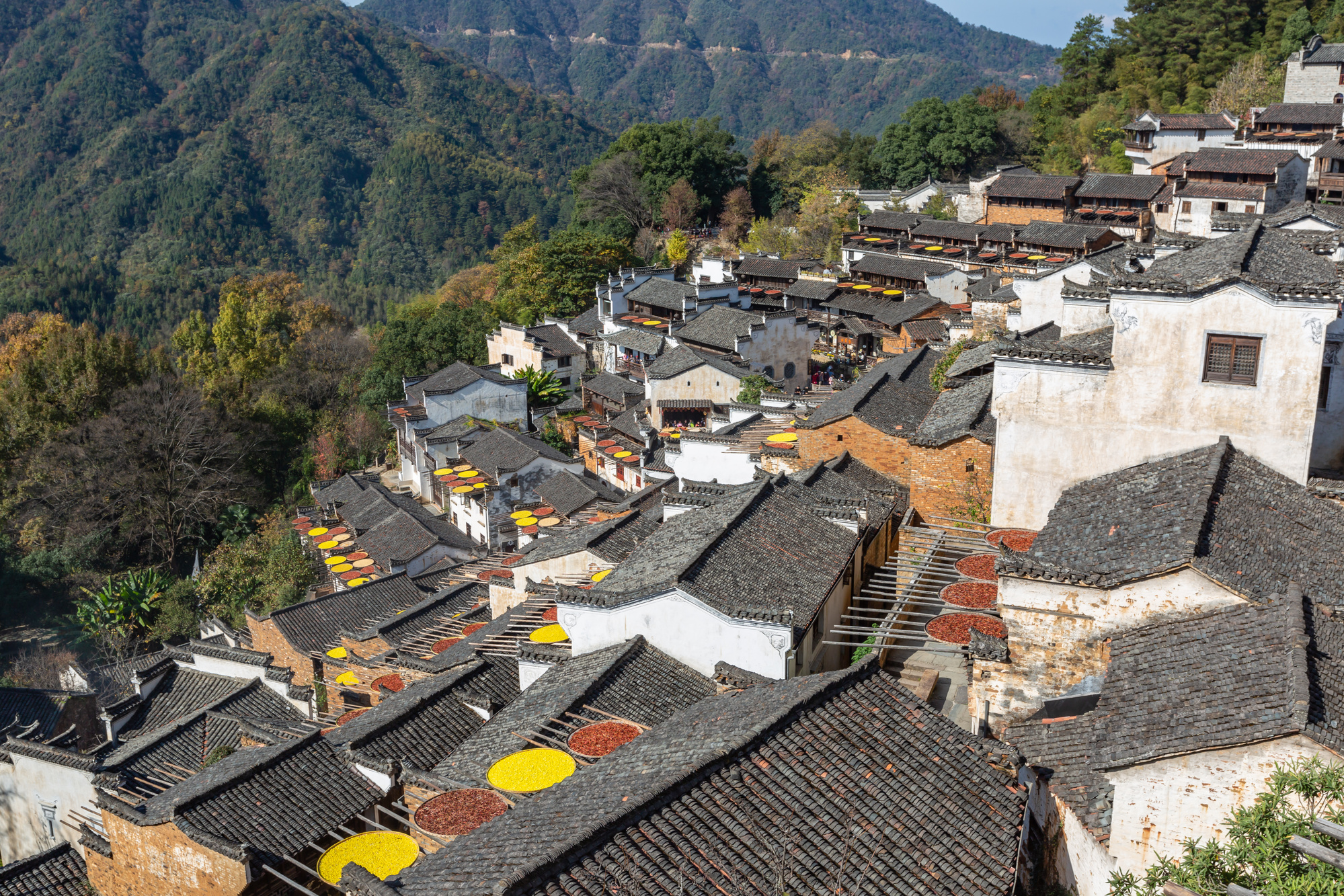 【浙皖赣+江苏】黄山+上饶+南京双飞六【黄山风景区+宏村+千岛湖+篁岭】