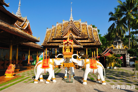 【云南】西双版纳10日当地游【野象谷+花卉园+原始森林公园+曼听公园+总佛寺+傣族园+基地疗养】