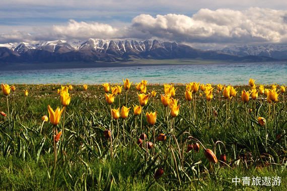 【新疆】小V新疆•伊犁秘境•乌市起止7日【赛湖全景+那拉提全景丨果子沟大桥丨六星街丨伊宁丨自驾库尔德宁/恰西丨唐布拉丨天山隧道/独库公路】
