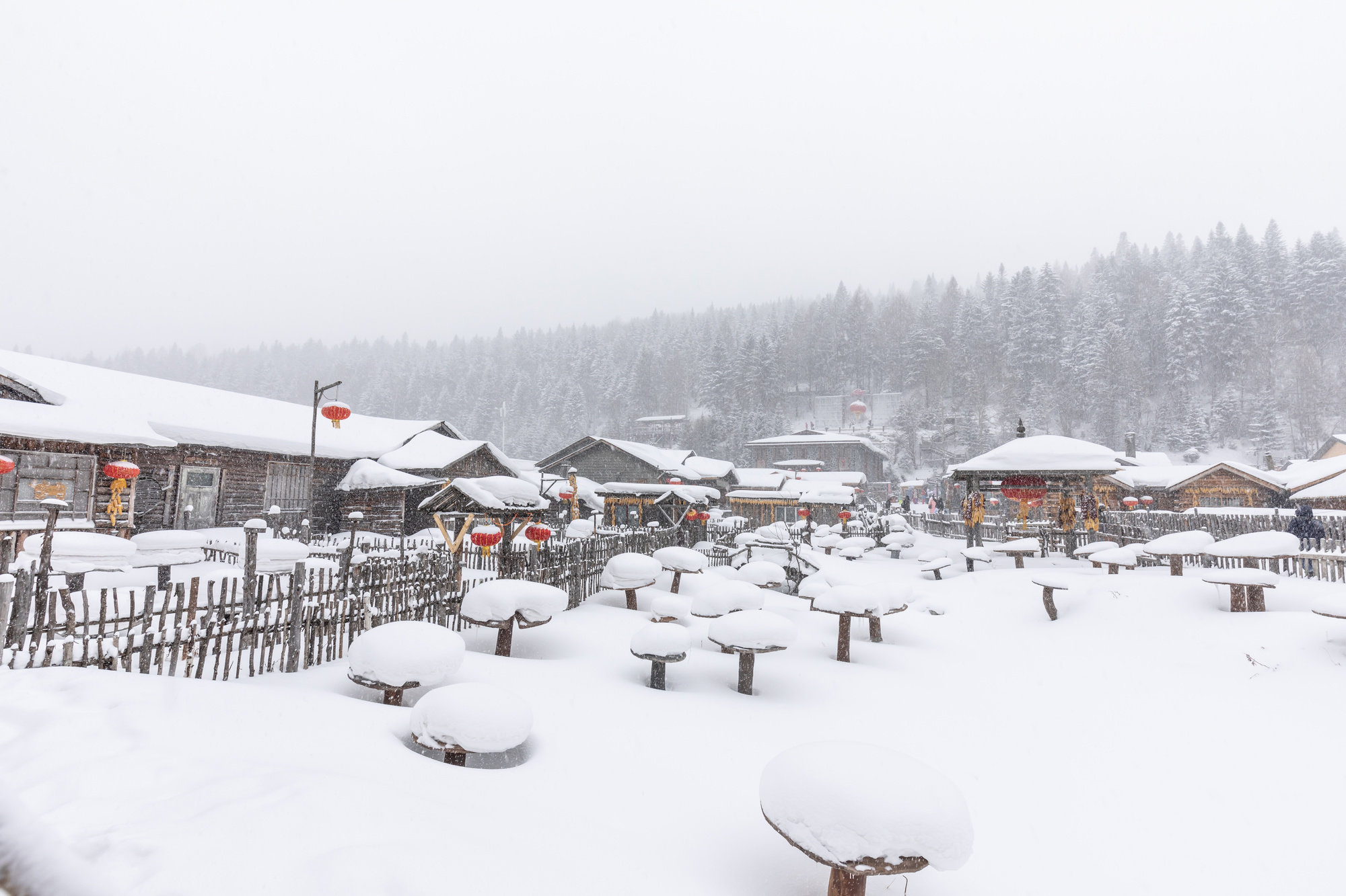 【东北】哈尔滨+亚布力+雪乡 哈尔滨双高6日【亚布力滑雪旅游度假区+中国雪乡+冰雪画廊+伏尔加庄园欧式城堡酒店+中央大街】