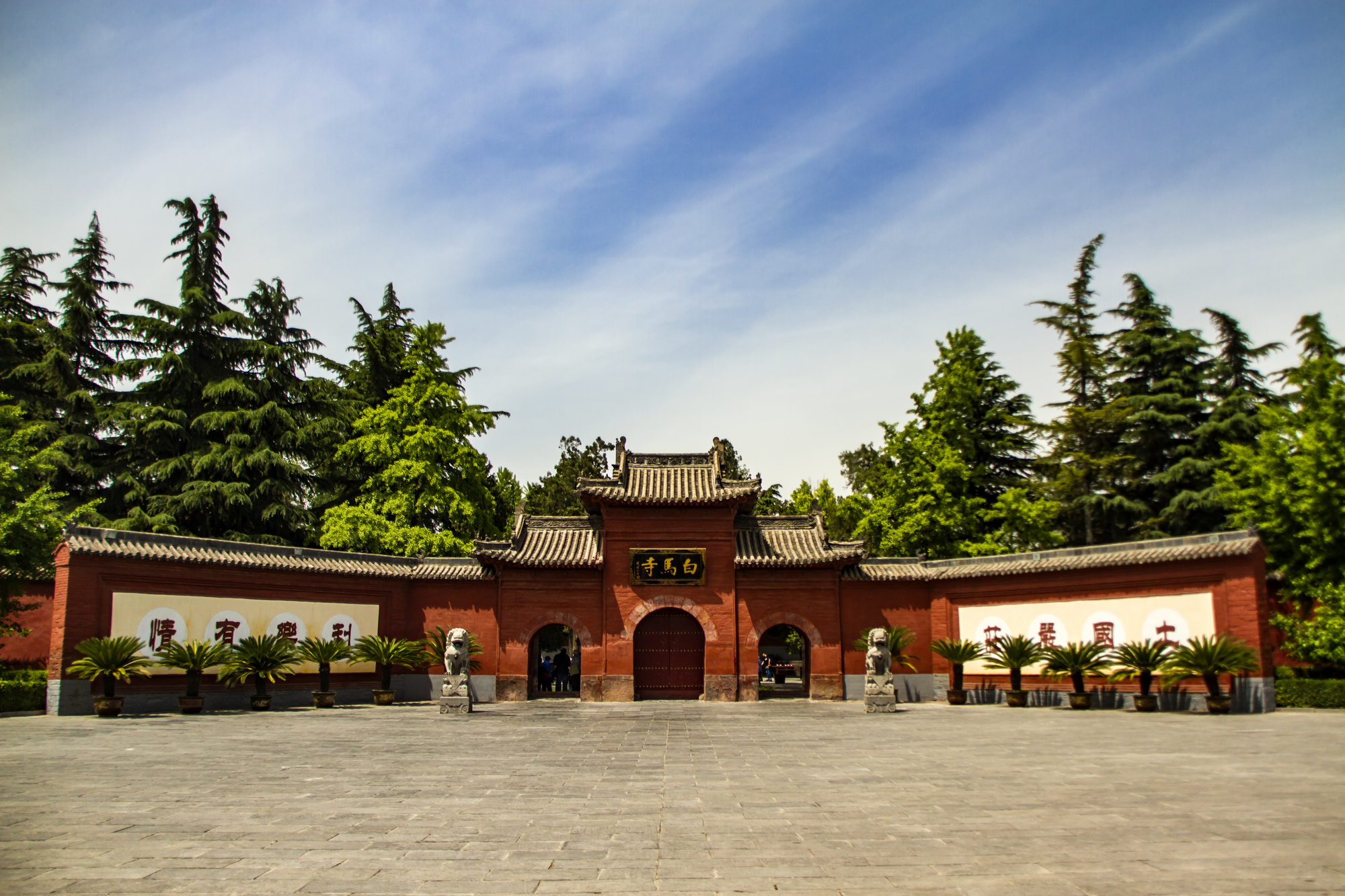 【河南】洛阳双高4天3晚【老君山+白马寺+龙门石窟+少林寺】