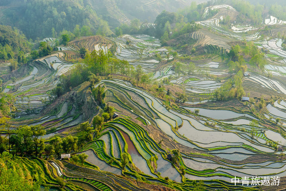 【云南】滇东南双飞8日【哀牢山+建水古城+元阳梯田+滇越小火车+普者黑+阿庐古洞】