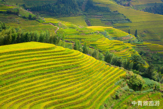 【广西】桂林+阳朔5日游【龙脊丨四星船大漓江丨西街丨银子岩丨象鼻山丨世外桃源】