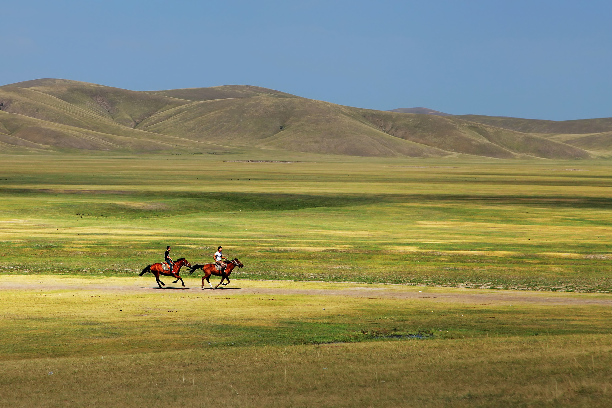 中青旅自营自组-大兴安岭号/呼伦贝尔+北极漠河双飞8日游【大兴安岭号专列穿越林海 越野车穿越巴尔虎+黑山头草原 神州北极-漠河小镇】