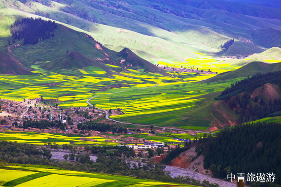 【青海】房车奇遇记-青海湖奇遇6日亲子营【西宁+祁连大草原+卓尔山+普氏原羚科普馆+悬崖古寺+茶卡盐湖+冰沟林海+青海湖+湖东沙漠】