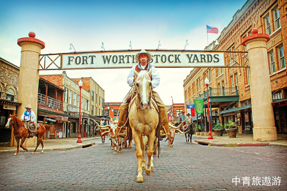 世界杯季.牛仔的德克薩斯.觀雙賽 美國10日游
