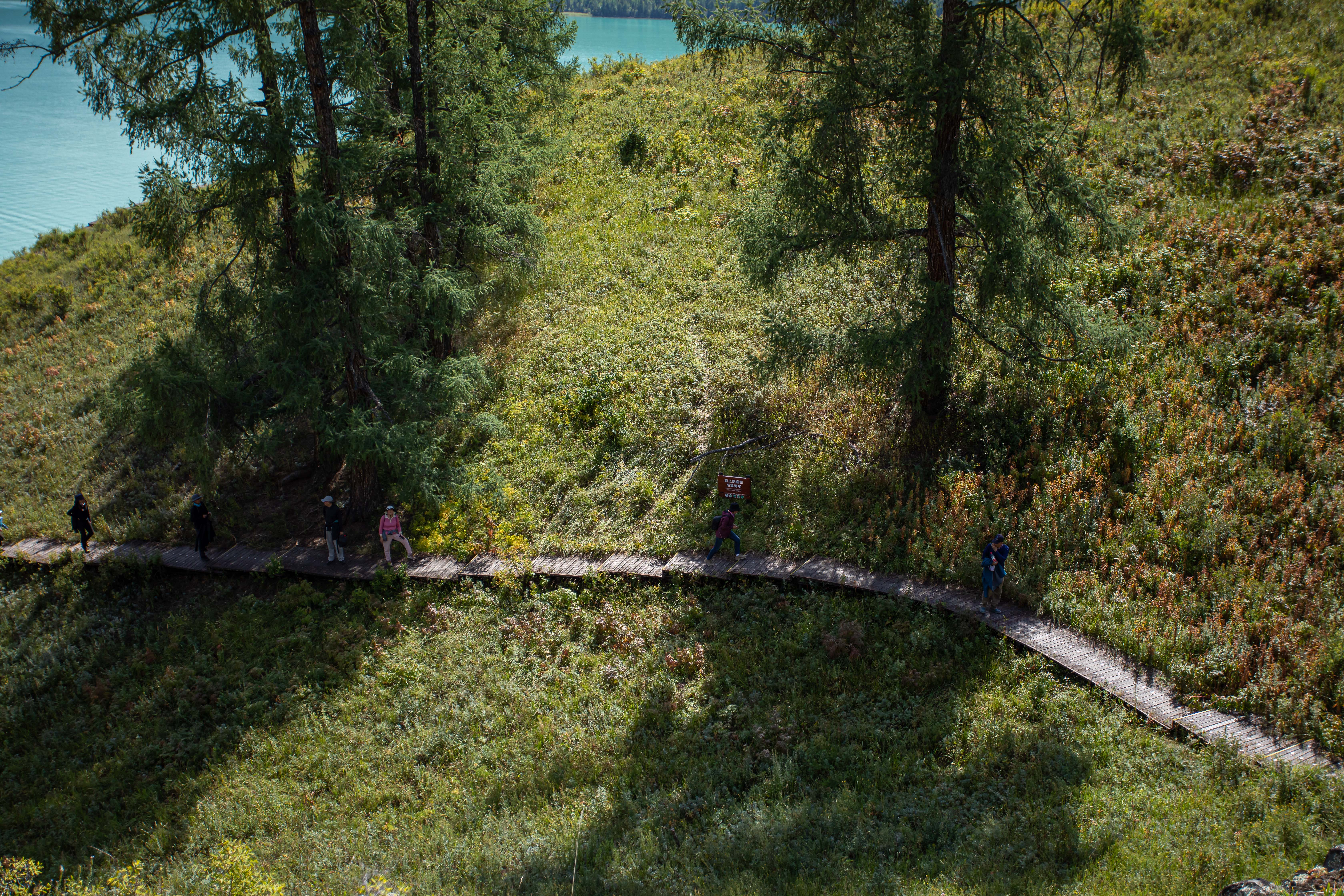 【新疆】北疆伊犁双飞8日游【独山子大峡谷|赛里木湖|库尔德宁|那拉提草原|孟克特古道独库公路|天山天池】