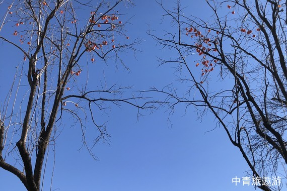 北京恭王府景区讲解【奇异文旅 不含票北京恭王府3小时深度讲解 15人小团大咖导游研学一日游】