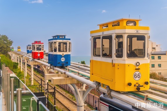 【韩国】济州岛4晚5天【牛岛|森林小火车|小羊肖恩羊驼牧场|道头洞彩虹海岸道路】